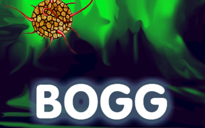 Bogg